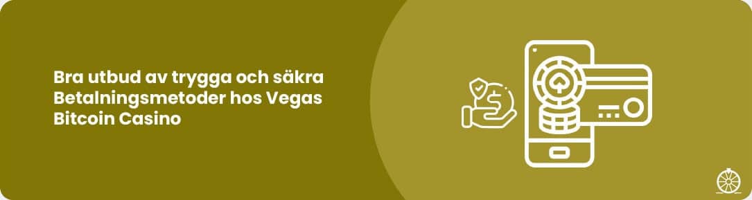 Många fungerande betalningsmetoder för New Zealand spelare hos Vegaz Casino
