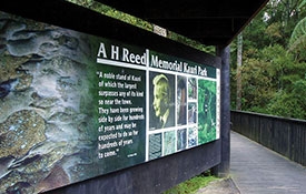 A.H. Reed Memorial Kauri Park